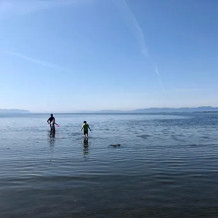 Koselig Hytte Med Panoramautsikt *